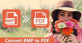 Convertir BMP a PDF