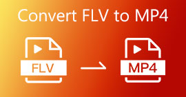 Cómo convertir FLV a MP4