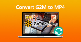 Convierta G2M a MP4