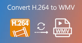 Convertir H.264 a WMV