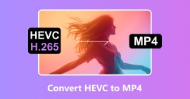 Convierte HEVC a MP4