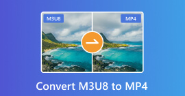 Convertir M3U3 a MP4