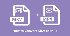 Cómo convertir MKV a MP4