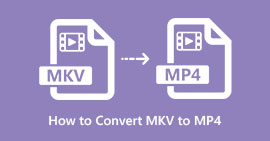 La mejor manera de convertir MKV a MP4