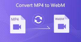 Convertir MP4 a WebM