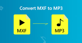 Convierte MXF a MP3