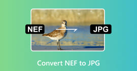 Convierte NEF a JPG