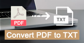 Convertir PDF a texto