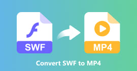 Convertir SWF a MP4