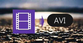 Convertir H.264 a AVI