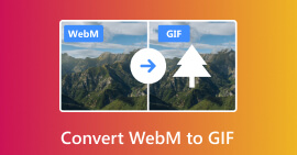 Convertir WebM a GIF