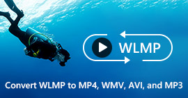 WLMP a MP4