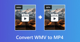 Cómo convertir WMV a MP4