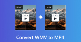 Convertir WMV a MP4