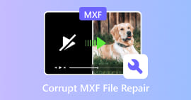 Reparación de archivos MXF corruptos