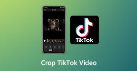 Recortar video de TikTok
