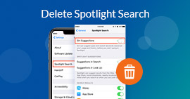 Eliminar Spotlight Search iPhone iPad