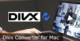 Convertidor DivX