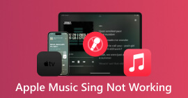 Arreglar Apple Music Sing no funciona