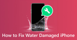 Reparar el iPhone dañado por el agua