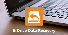 Cómo obtener la recuperación de datos de G-Technology en Windows y Mac