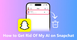Deshacerse de mi IA en Snapchat