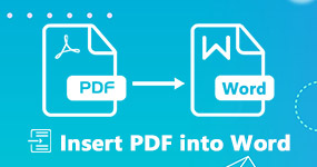 Insertar PDF en Word