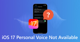 iOS 17 Voz personal no disponible