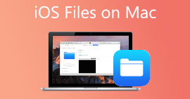 Archivos de iOS en Mac
