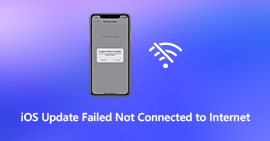 Actualización de iOS no conectada a Internet