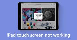 La pantalla táctil del iPad no funciona