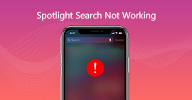 La búsqueda de Spotlight de iPhone no funciona