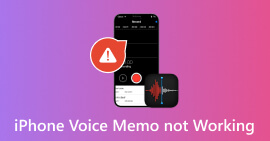 La nota de voz del iPhone no funciona