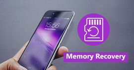 Software de recuperación de memoria