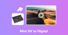Mini DV a Digital