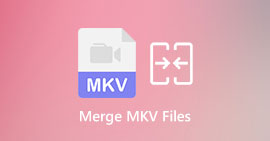 Combinar archivos MKV