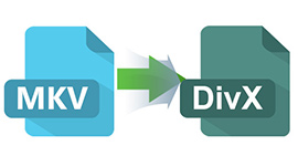Cómo convertir MKV a DivX