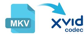 Cómo convertir MKV a Xvid