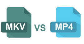 MKV VS MP4