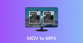 MOV a MP4