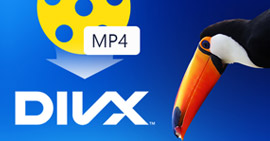 Cómo convertir MP4 a DivX