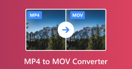 MP4 al convertidor de MOV