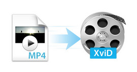 MP4 a Xvid