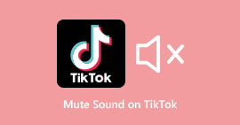 Silenciar el sonido en TikTok