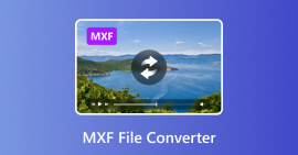 Convertir archivo MXF