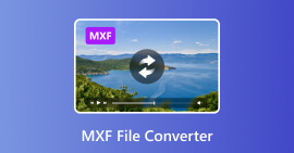 Convertidor de archivos MXF