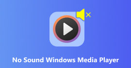 Reproductor de Windows Media sin sonido