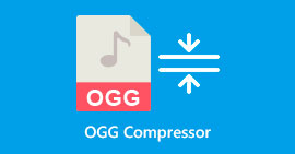Compresor OGG
