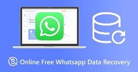 Recuperación de datos de WhatsApp en línea gratuita