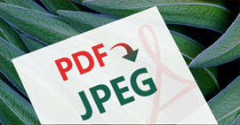 Convertidor PDF a JPEG